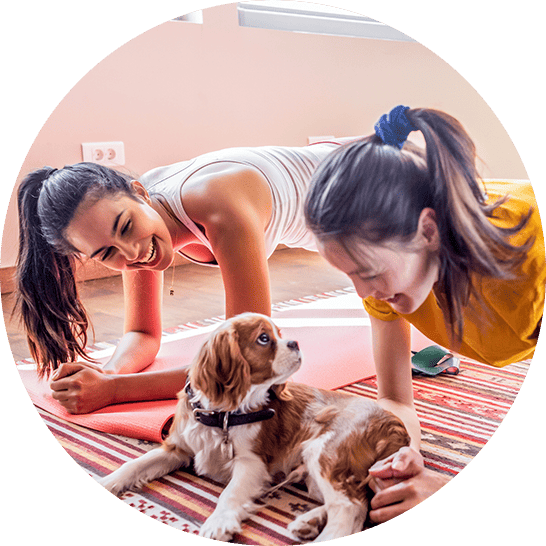 Two adult women doing core exercises with their dog